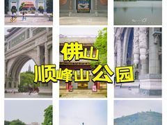 -顺峰山公园