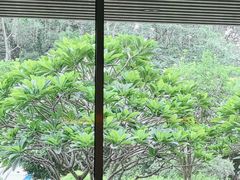 -南宁荔园维景国际酒店·荔园中餐厅