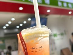 -一树一叶·福建茶档(石鼓路店)