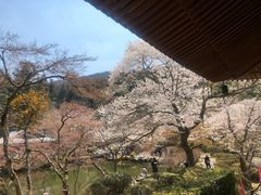 -醍醐寺