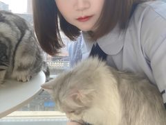 -怪兽屋·羊驼·猫咖·狗咖(俊华广场店)