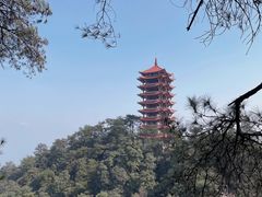 -缙云山景区