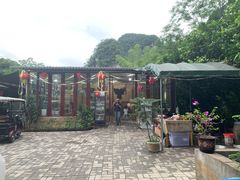 -柴火农家饭(遇龙河店)