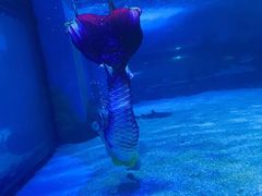 -常州海昌海洋探索馆
