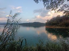 -广州市流溪河国家森林公园
