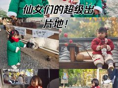 -HERRE·FARM 赫尔露营农场·团建聚会包场