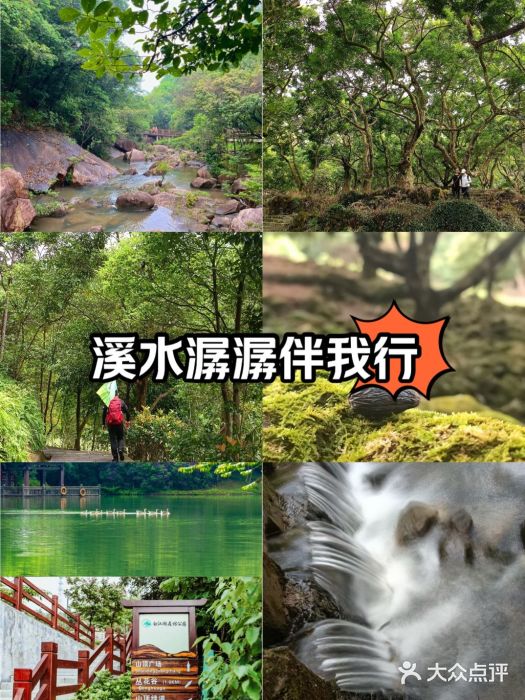 广州白江湖森林公园图片