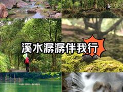 -广州白江湖森林公园
