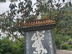 -靖西鹅泉风景区