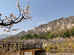-北京凤凰岭