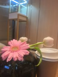 -恒美雅轩·品牌直营连锁