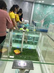 -鱼乐贝贝婴幼儿水育馆(星汇广场店)