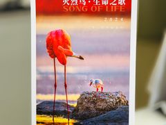-好利来(内双楠店)