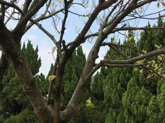 -南沙蒲洲花园