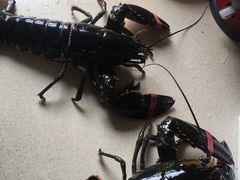 -麦德龙(闵行店)