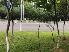 -松山湖梦幻百花洲