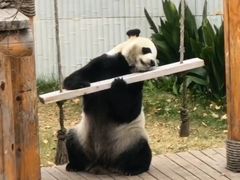 -无锡动物园·太湖欢乐园