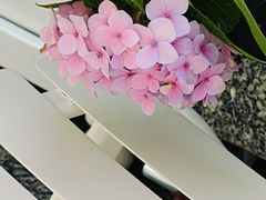 -深圳湾万象城(南山店)