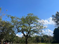 -中国科学院西双版纳热带植物园