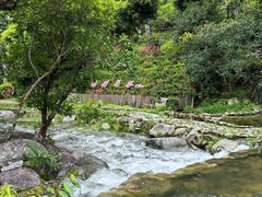 -广东天露山旅游度假区