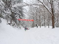 -雪谷