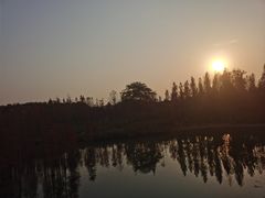 -白鹭湾湿地公园