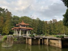 -深圳仙湖植物园