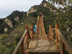 -大岭沟猕猴桃谷风景区