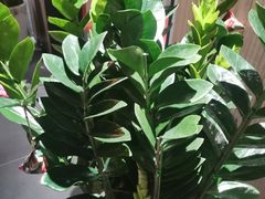 -天禧影院式足道·SPA(梅林店)