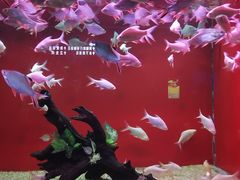 -乌鲁木齐海洋馆
