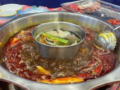 -金鼎雪山牦牛杂火锅(理县总店)