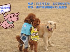 -瑞派·关忠动物医院·猫专科·犬专科(三环新城店)