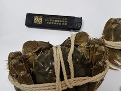 -喜洋洋蟹庄(阳澄湖店)