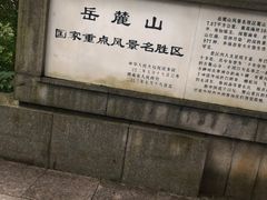 -茶颜悦色(岳麓山顶店)