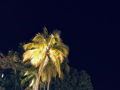 -麦哲伦丝绸度假村