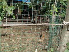 -丁村民俗博物馆