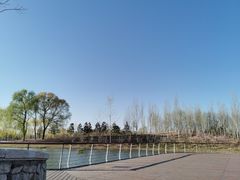 -东郊湿地公园