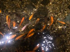 -邈墨茶馆(凤起路店)