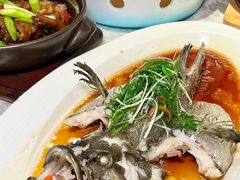 -南海渔村(珠江新城店)