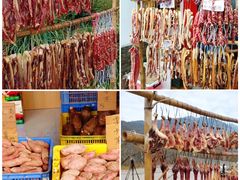 -广州市流溪河国家森林公园