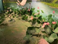 -湖南省地质博物馆