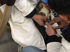 -贝利宠物医院·骨科·眼科·肿瘤转诊中心(南坪诊疗中心)