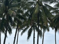 -海南清水湾莱佛士酒店