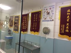 -中农大我爱我爱24h动物医院·中医针灸·猫专科·骨科医疗中心(双井店)