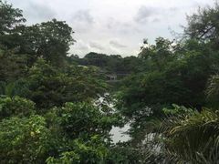 -河川生态园