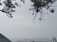-小南山公园