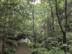 -大岭沟猕猴桃谷风景区