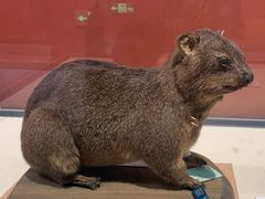 -国家自然博物馆