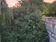 -云龙湖旅游景区