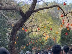 -灵顺寺